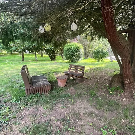 Paisible En Bord De Vienne