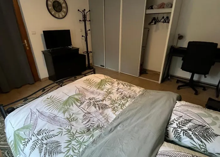 Paisible En Bord De Vienne *